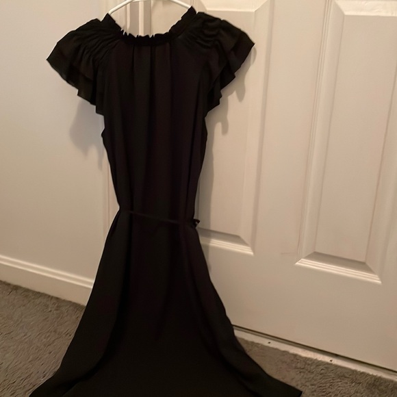 NWOT Lark & Ro Women's Relaxed Fit Lightweight Georgette Split Neck Dress - Picture 4 of 7